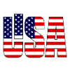 LISA USA logo