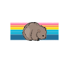 Wombat
