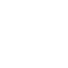 Containertaxi Abrollkipper