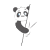 Panda bear hides
