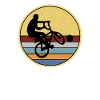 Radball Sport Bike