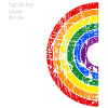 Rainbow Gay Lesbians Transgender Bisexuals