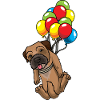 Border Terrier mit Luftballons