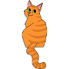 Red cat