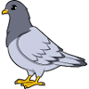 Taube