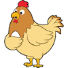 chicken