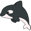 Killer whale