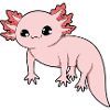 axolotl