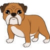 Bulldog