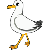 gull