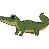 alligator