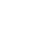 Eule Waldbewohner Eulen Vollmond