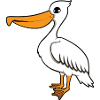 pelican