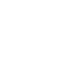 Eule Waldbewohner Eulen Vollmond