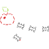 ASCII ANTS