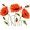 Fleur