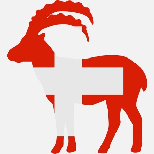 Schweizer Steinbock