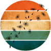 Retro sunset with dandelion