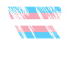 Trans LGBT Flag