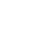 Evolution Geologist Geologist Miner