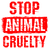 Stop Animal Cruelty