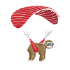 Sloth Paraglider Paragliding Skydiving