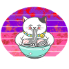 Chinese Cat Chinese Noodles