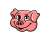 Funny Pigs Cute
