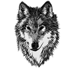 Wolfsmotivs Raubtier Wolf Tiermotiv