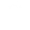 Orca Orca Gift