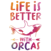 Orca Orca Gift