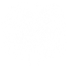 Lion Biker