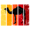 Camel Desert Safari Animal