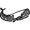 Vector Whale Drawing Style