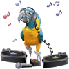 blue-bearded macaw