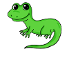 lizard
