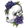 Fantasy raccoon skull