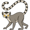 lemur