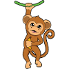 monkey