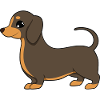 dachshund