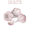 Garlic Hater Alliumphobic Alliumphobes
