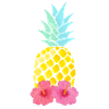 Ananas und Hibiskus