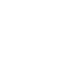 Husky stands shadow figure white