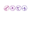 Colourful Rhönrad with Rhönradturnerin