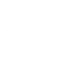 Sasquatch Bigfoot