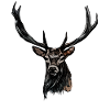 Hunting Hunter Deer Hunting Motif
