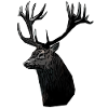 Hunting Deer Hunting Motif