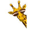 Coole Giraffe mit Sonnenbrille