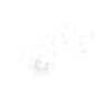 Dandelion make a wish