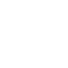 Shepherd Dog